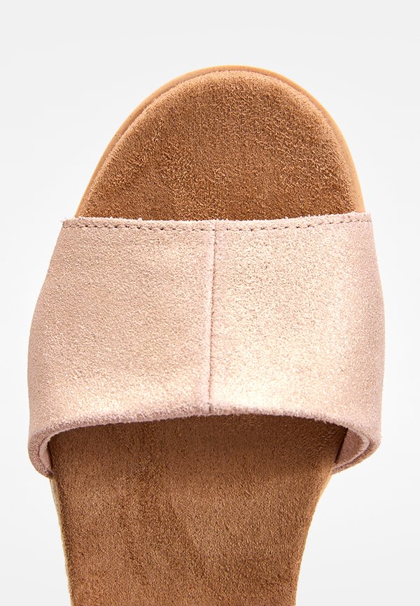TOMS DIANA