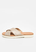 TOMS MAE