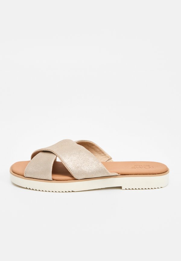 TOMS MAE
