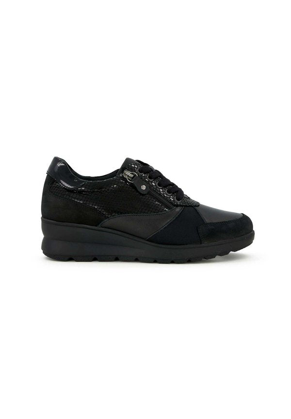 Scholl EDDA