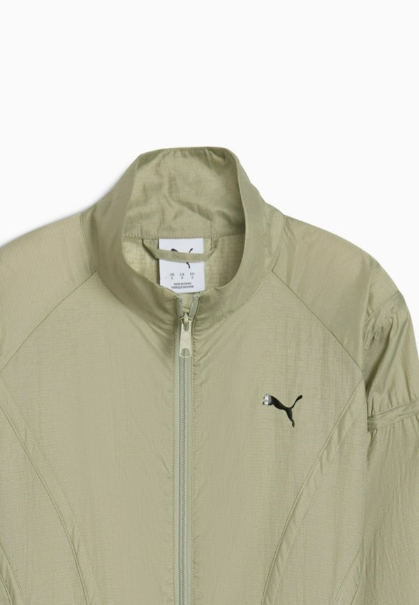 Puma DARE