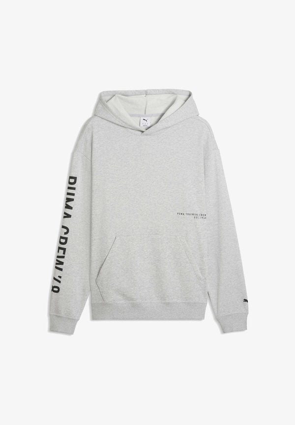 Puma GRAPHICS - Hoodie - light gray heather