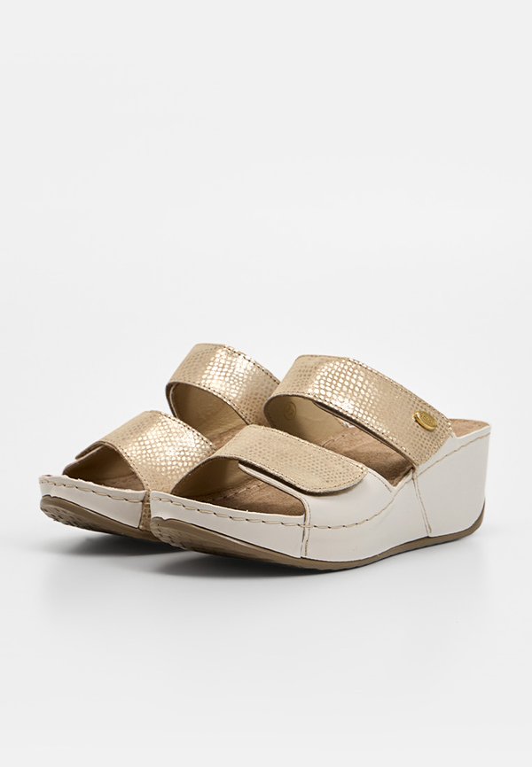 Scholl ABERDEEN