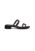 Scholl