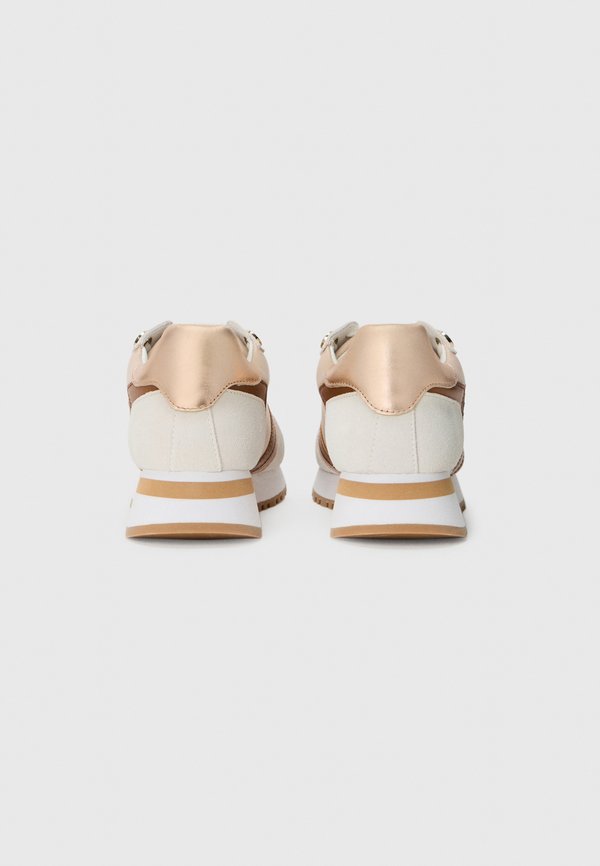 Pollini