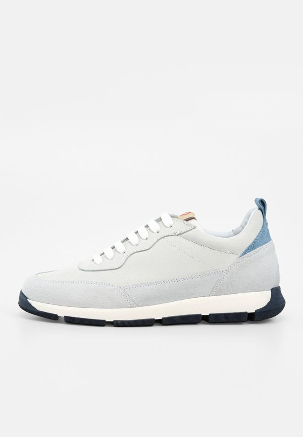 Pollini