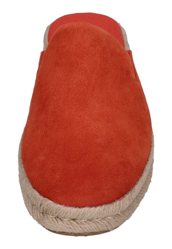 TOMS