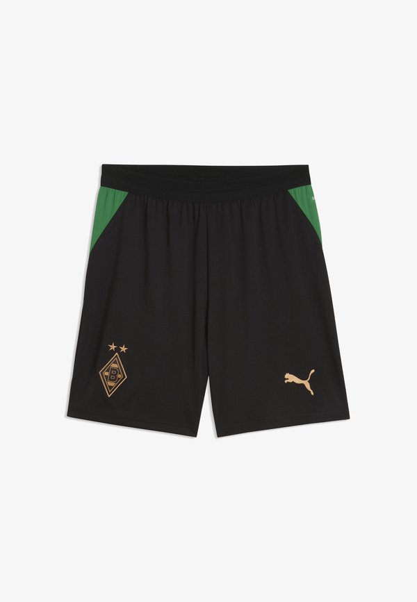 Puma BORUSSIA MÖNCHENGLADBACH 26/27 SHORTS - Club wear - black-archive green