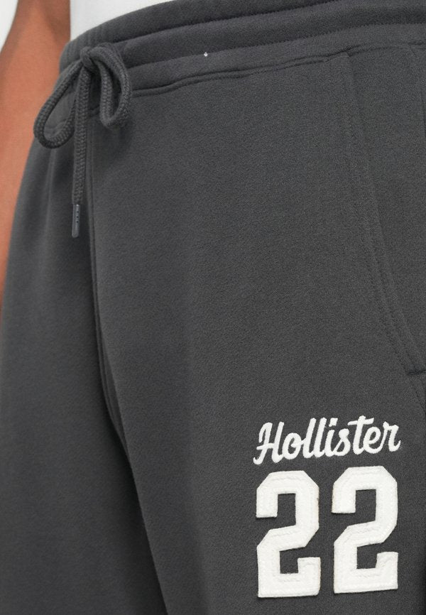 Hollister Co. BAGGY LOGO