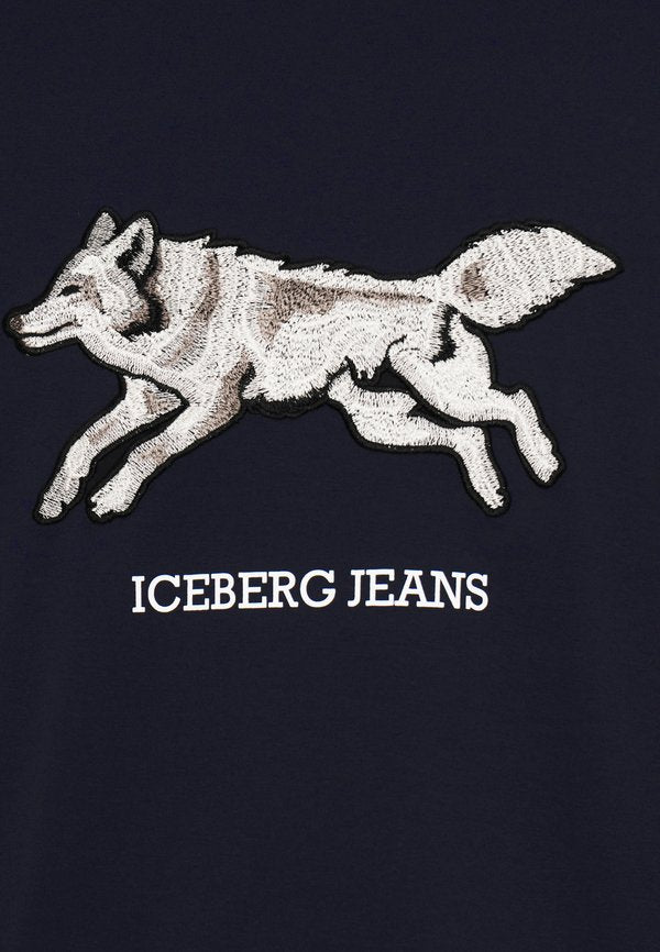 Iceberg