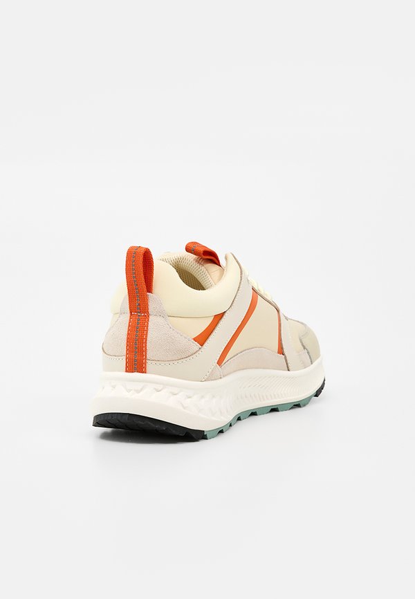 Pollini