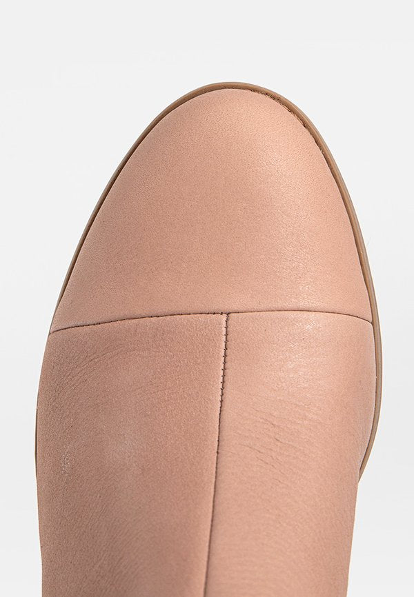 TOMS