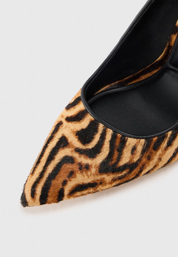 ALDO STESSY 3.0