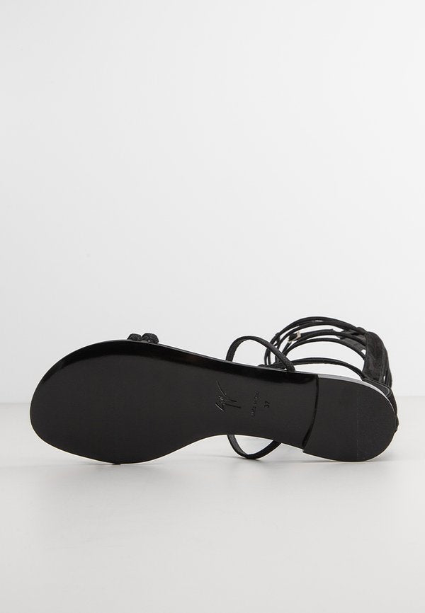 Giuseppe Zanotti