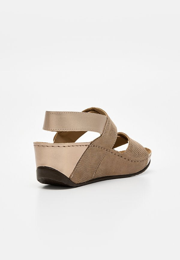 Scholl ABERDEEN