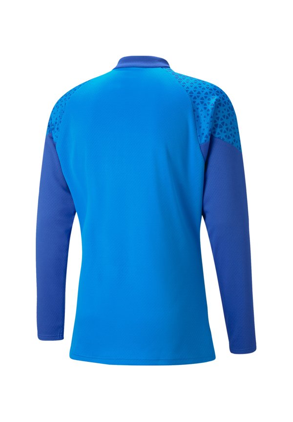 Puma FUSSBALL - TEAMSPORT - TEAMCUP HALFZIP SW