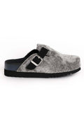 Scholl POPPY