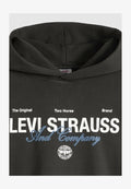 Levi's® SUNSET GRAPHIC HOODIE - Hoodie - cowboy collage aop n  blacks