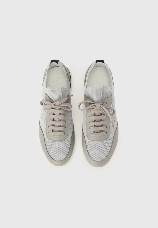 Pollini