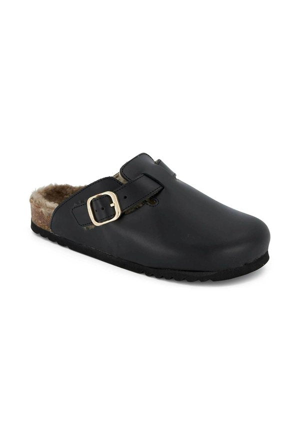 Scholl