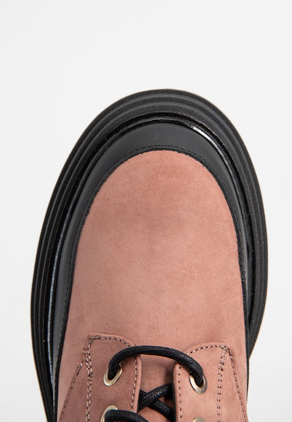 Pollini