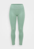 Nike Performance TIGHT - Leggings - steam