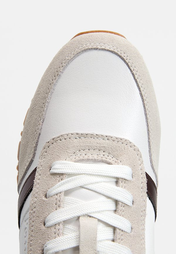 Pollini
