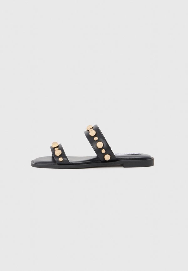 Steve Madden