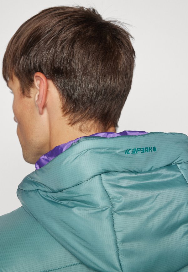 Icepeak MENTOR