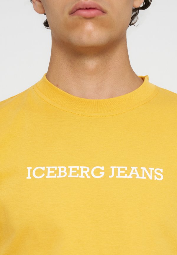 Iceberg