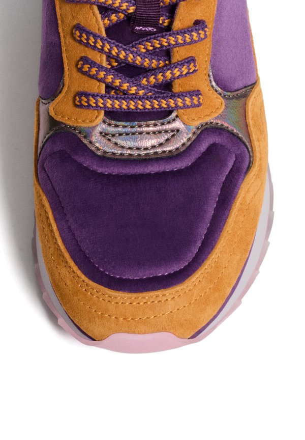 HOFF MODENA