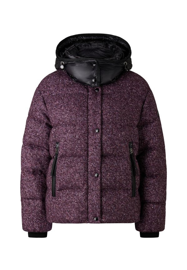 Bogner EVE-D1