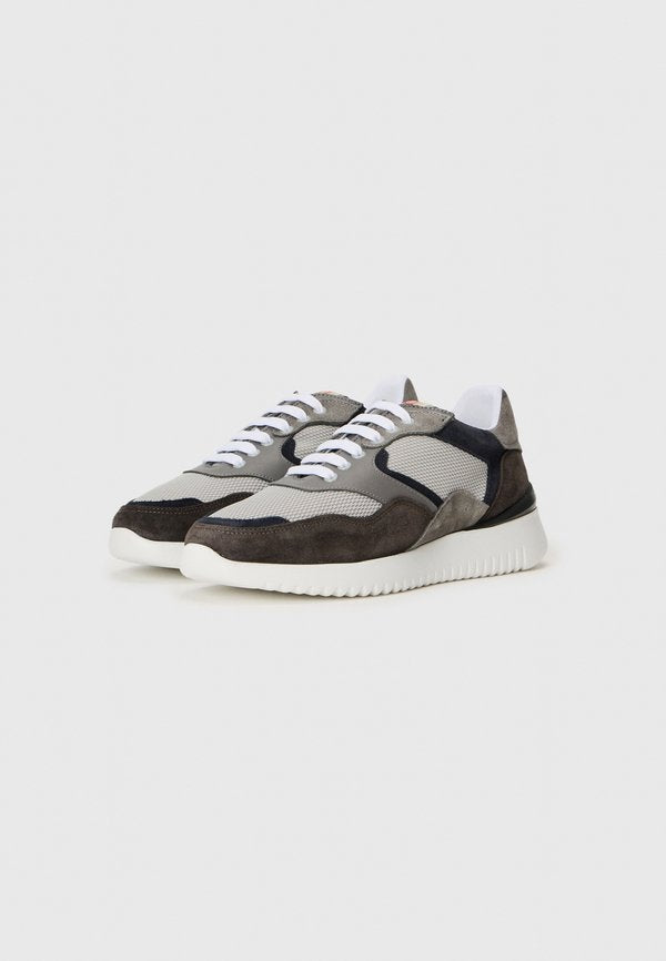Pollini