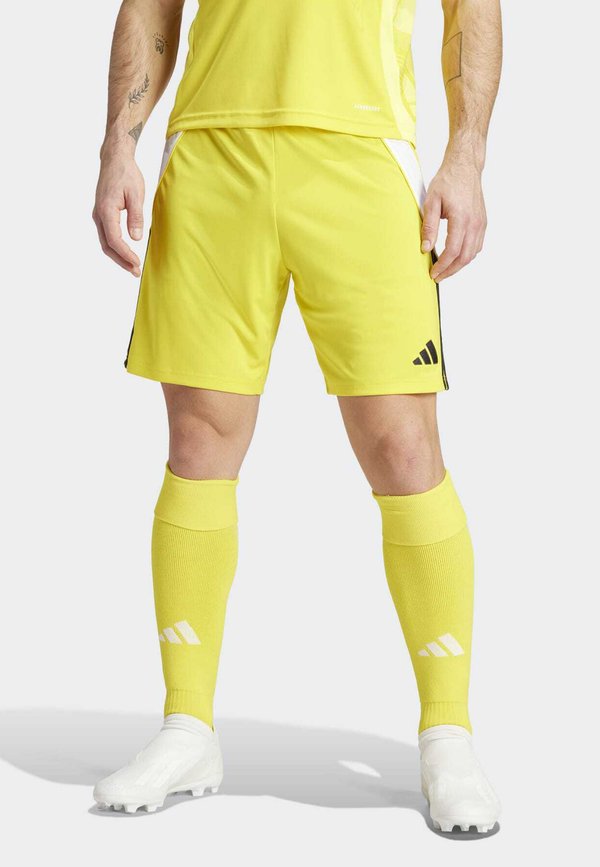 adidas Performance TIRO24 SHORT - Sports shorts - team yellow/black