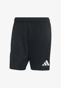 adidas Performance ADIDAS PERFORMANCE TIERRO26 GOALKEEPER SHORTS - Sports shorts - black