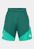 adidas Performance ALGERIA 26 TRAINING - National team wear - team dark green