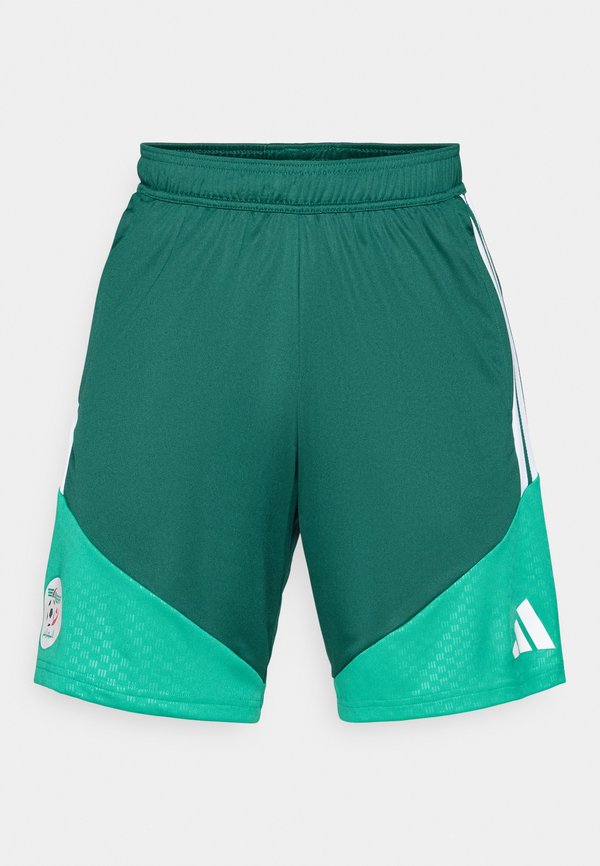 adidas Performance ALGERIA 26 TRAINING - National team wear - team dark green