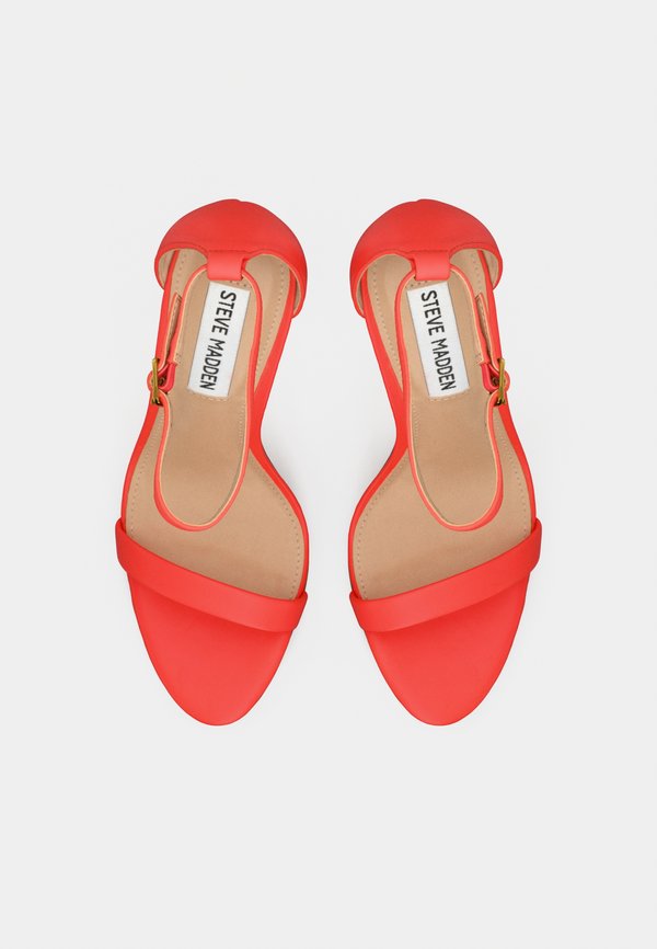 Steve Madden TECY