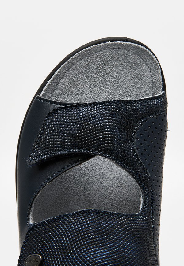 Scholl ANTONIA