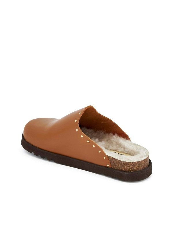 Scholl  FAE STUDS