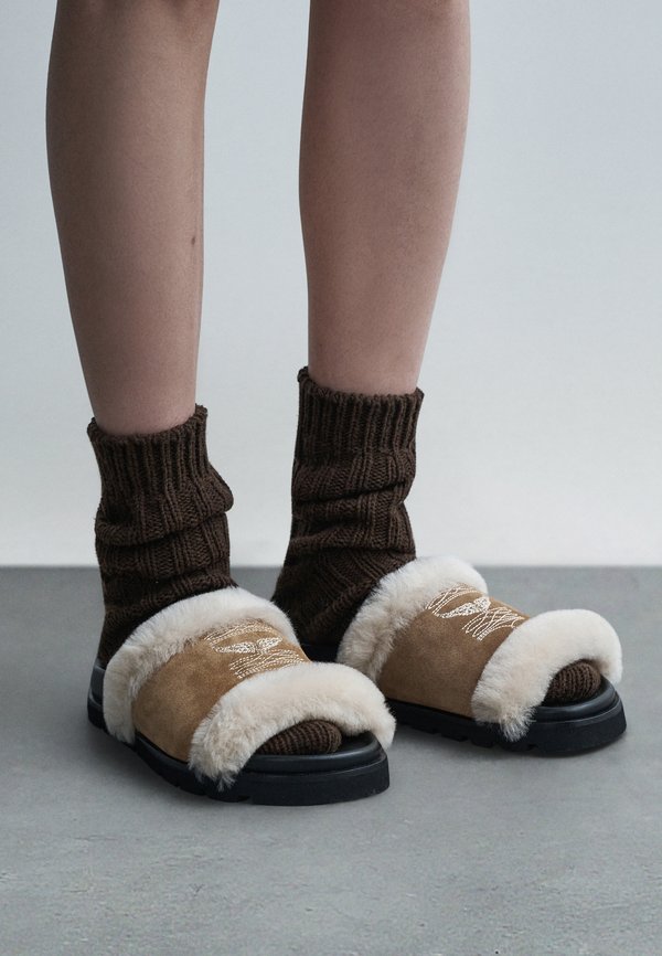 Zadig & Voltaire TEDDY