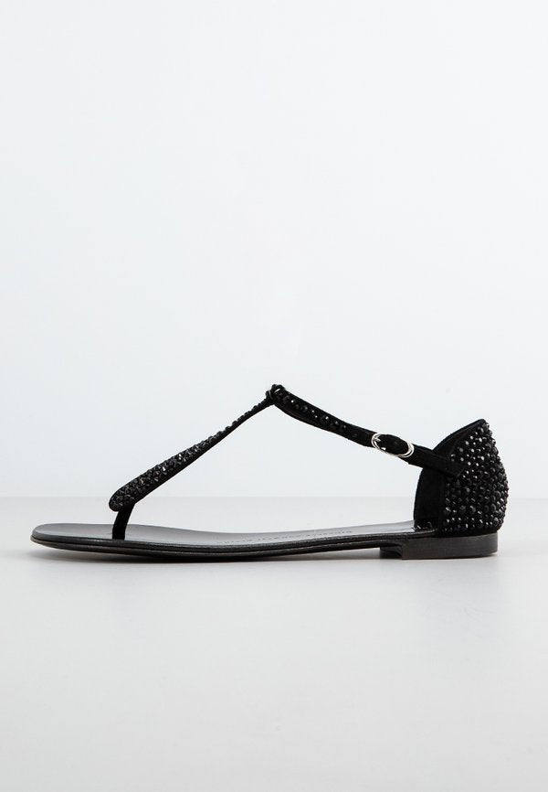 Giuseppe Zanotti