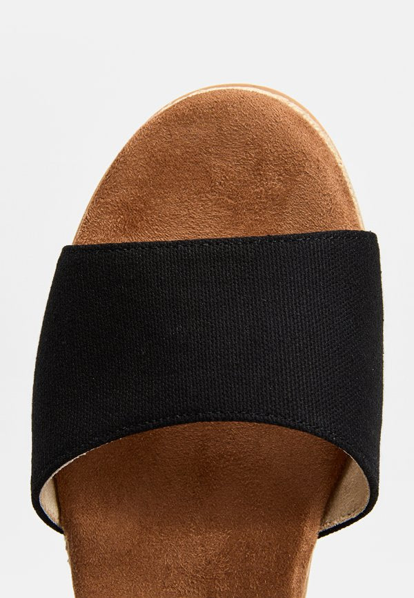 TOMS