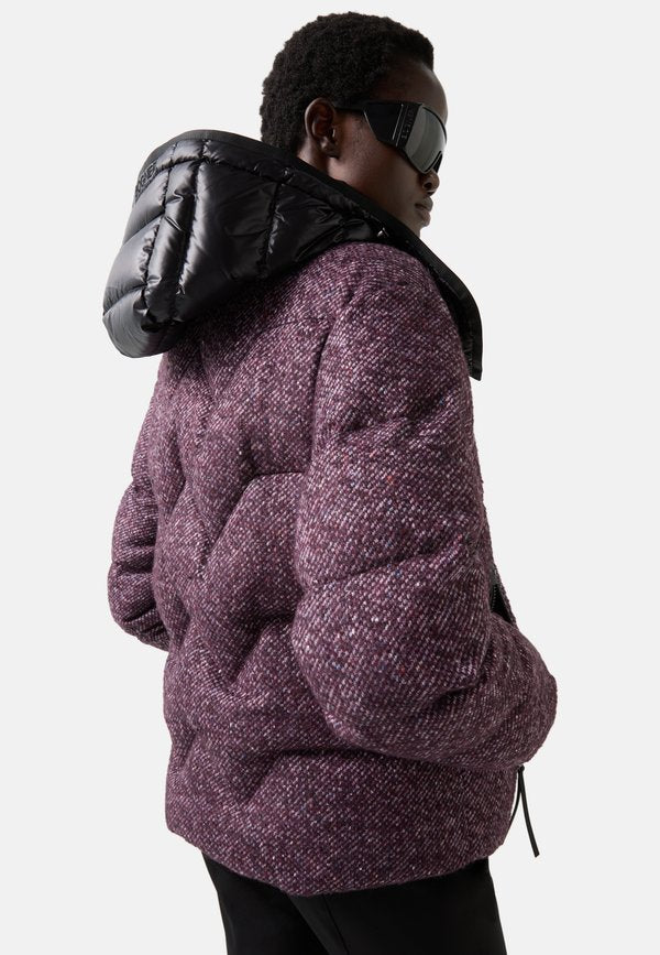 Bogner EVE-D1