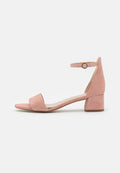 Anna Field by Zalando LEATHER