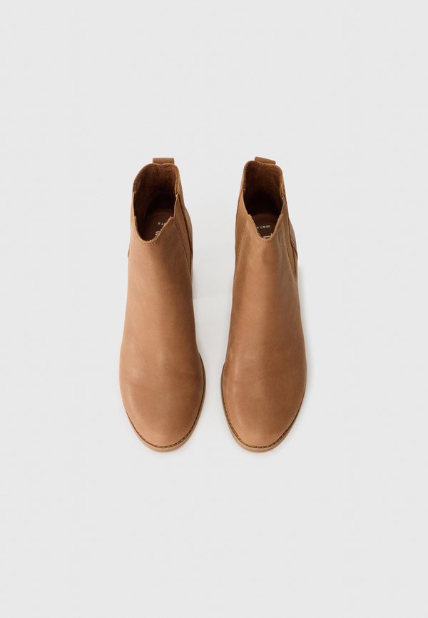 TOMS EVELYN