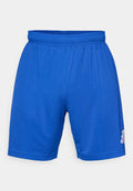 adidas Performance ENTRADA26 SHORTS - Sports shorts - team royal blue/white