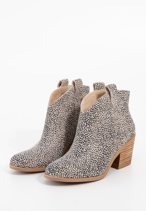 TOMS CONSTANCE