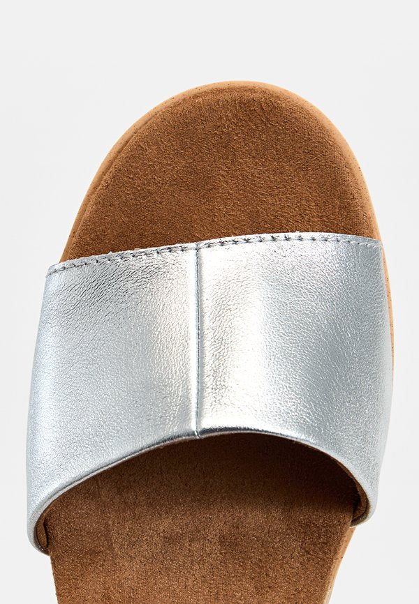 TOMS DIANA