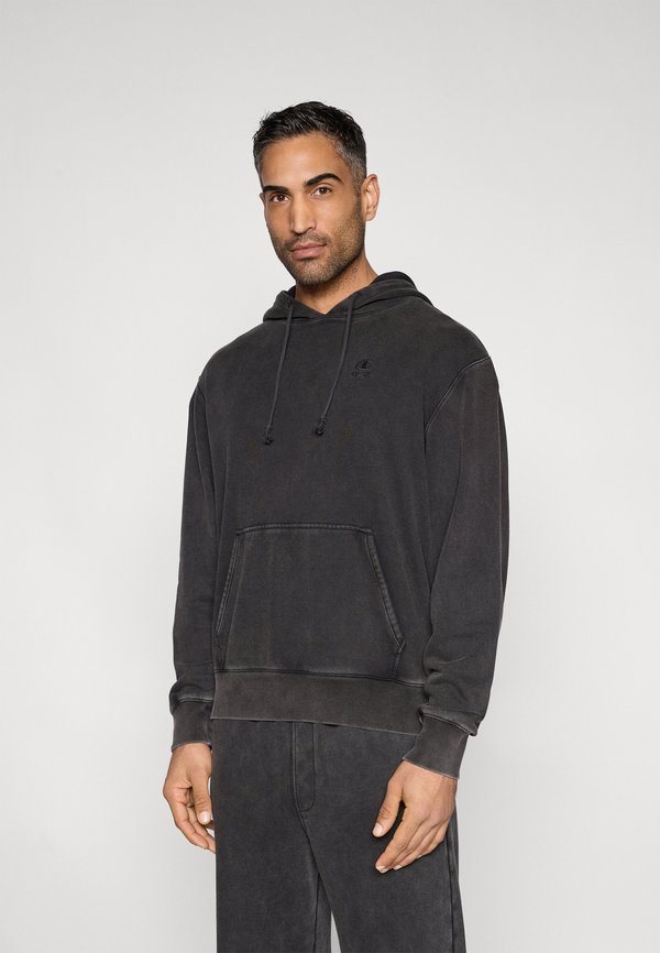 Champion ICONS WASH HOODIE